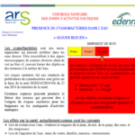 CONTROLE SANITAIRE
DES ZONES D’ACTIVITES NAUTIQUES
PRESENCE DE CYANOBACTERIES DANS L’EAU
« ALGUES BLEUES »